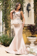 Terani Mother of the Bride Dress 242M3329