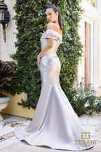 Terani Mother of the Bride Dress 242M3356 - Silver Taupe