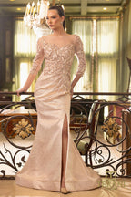 Terani Mother of the Bride Dress 242M3374
