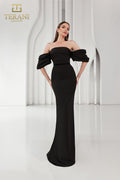 Terani Evenings Dress 251E4204