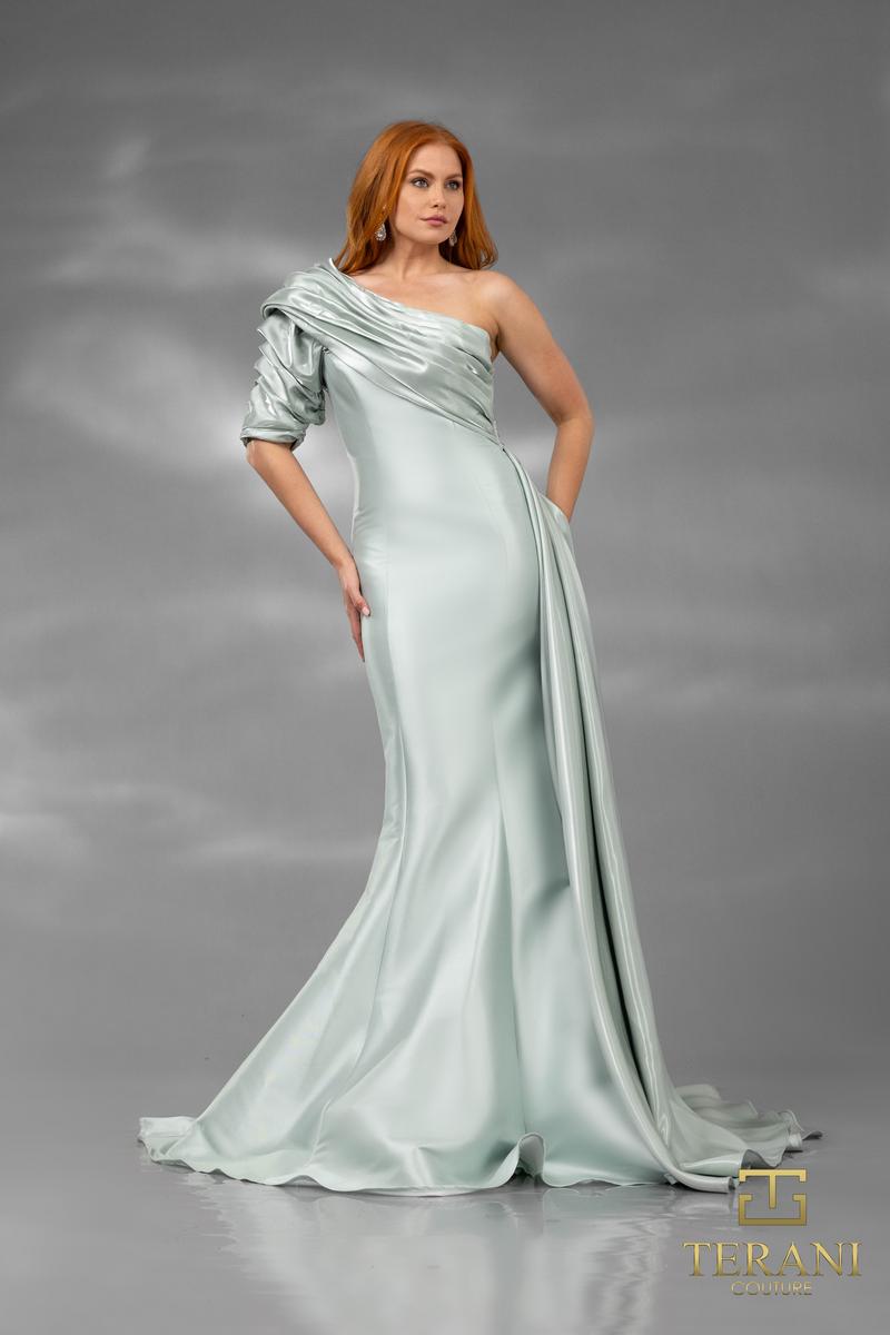 Terani Evenings Dress 251E4205