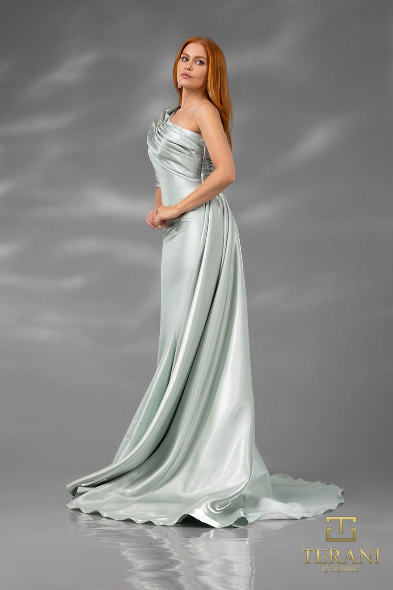 Terani Evenings Dress 251E4205 - Sage