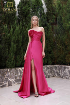 Terani Evenings Dress 251E4251