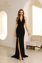 Terani Evenings Dress 251E4285