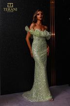 Terani Evenings Dress 251E4330