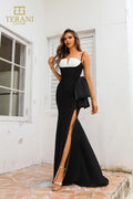 Terani Prom Dress 251P4006