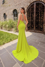 Terani Prom Dress 251P4036 - Citrine