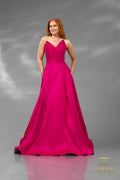 Terani Prom Dress 251P4060