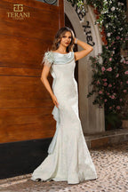 Terani Evenings Dress 251E4256 - Sage Gold