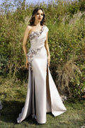 Terani Evenings Dress 252E5116