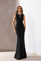 Terani Evenings Dress 252E5119
