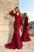 Terani Evenings Dress 252E5129 - Wine