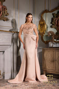 Terani Evenings Dress 252E5157
