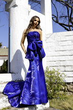 Terani Evenings Dress 252E5164 - Sapphire