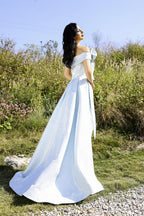 Terani Evenings Dress 252E5169 - Powder Blue