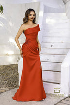 Terani Evenings Dress 252E5180
