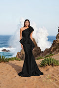 Terani Evenings Dress 252E5546