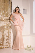 Terani Evenings Dress 252E5550