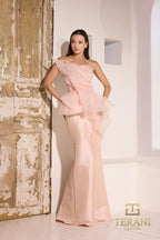 Terani Evenings Dress 252E5550