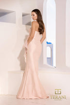 Terani Evenings Dress 252E5550 - Blush