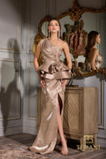Terani Evenings Dress 252E5551