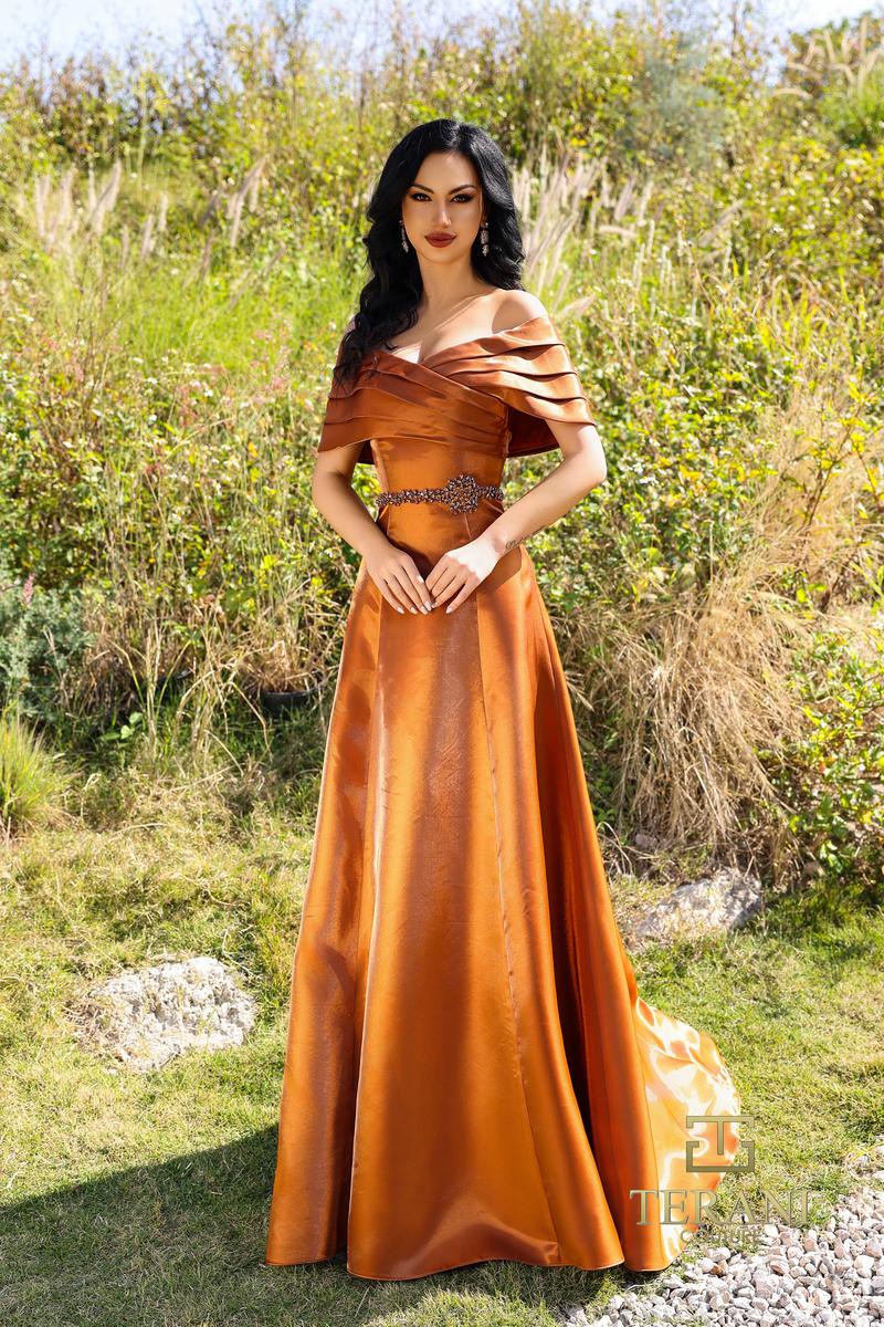 Terani Mother of the Bride Dress 252M5326