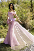 Terani Mother of the Bride Dress 252M5357