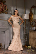 Terani Mother of the Bride Dress 252M5520