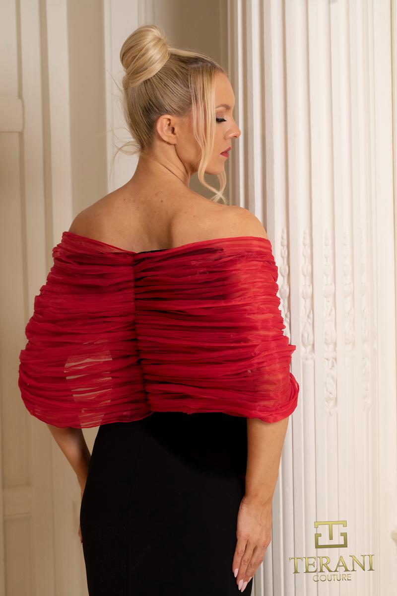 Terani Evenings Dress 252E5181