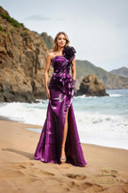 Terani Evenings Dress 252E5516 - Plum