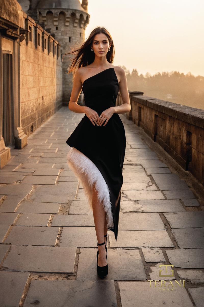 Terani Cocktail Dress 261C6723 - Black White