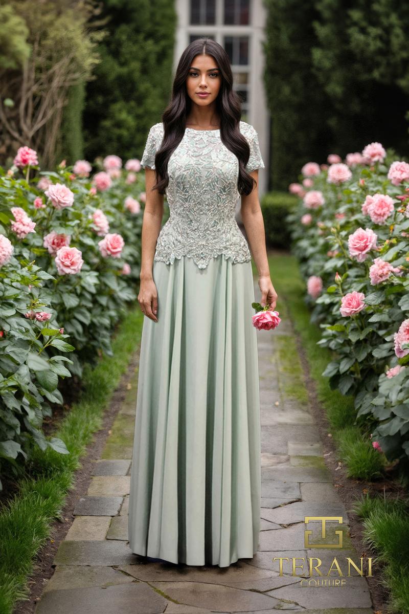 Terani Mother of the Bride Dress 261M6437