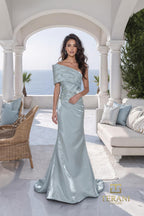 Terani Evenings Dress 261E6227