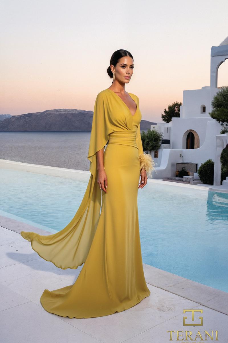 Terani Mother of the Bride Dress 261M6403