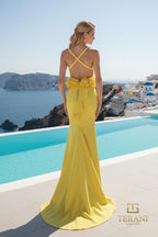 Terani Prom Dress 261P6061 - Citrine