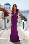 Terani Prom Dress 261P6061