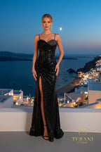 Terani Prom Dress 261P6160