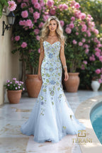 Terani Prom Dress 261P6193