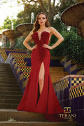 Terani Prom Dress 261P6624