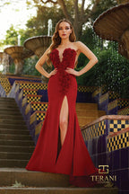 Terani Prom Dress 261P6624