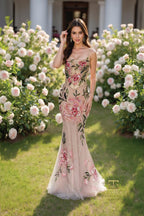 Terani Prom 261P6677 - Blush Multi