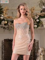 Colors Dress Dress 3685