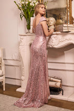 Ladivine Dress CH171 - Blush