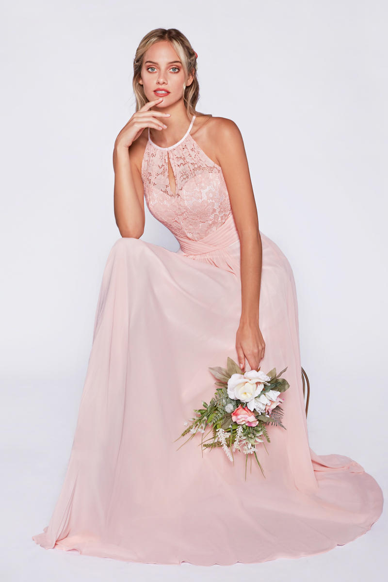 Cinderella Divine Dress CJ228 - Blush