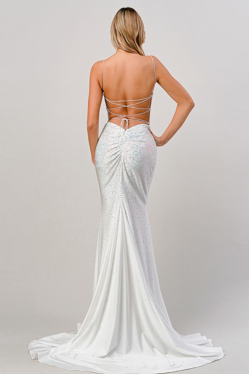 Cinderella Divine Dress CD0179 - White Multi