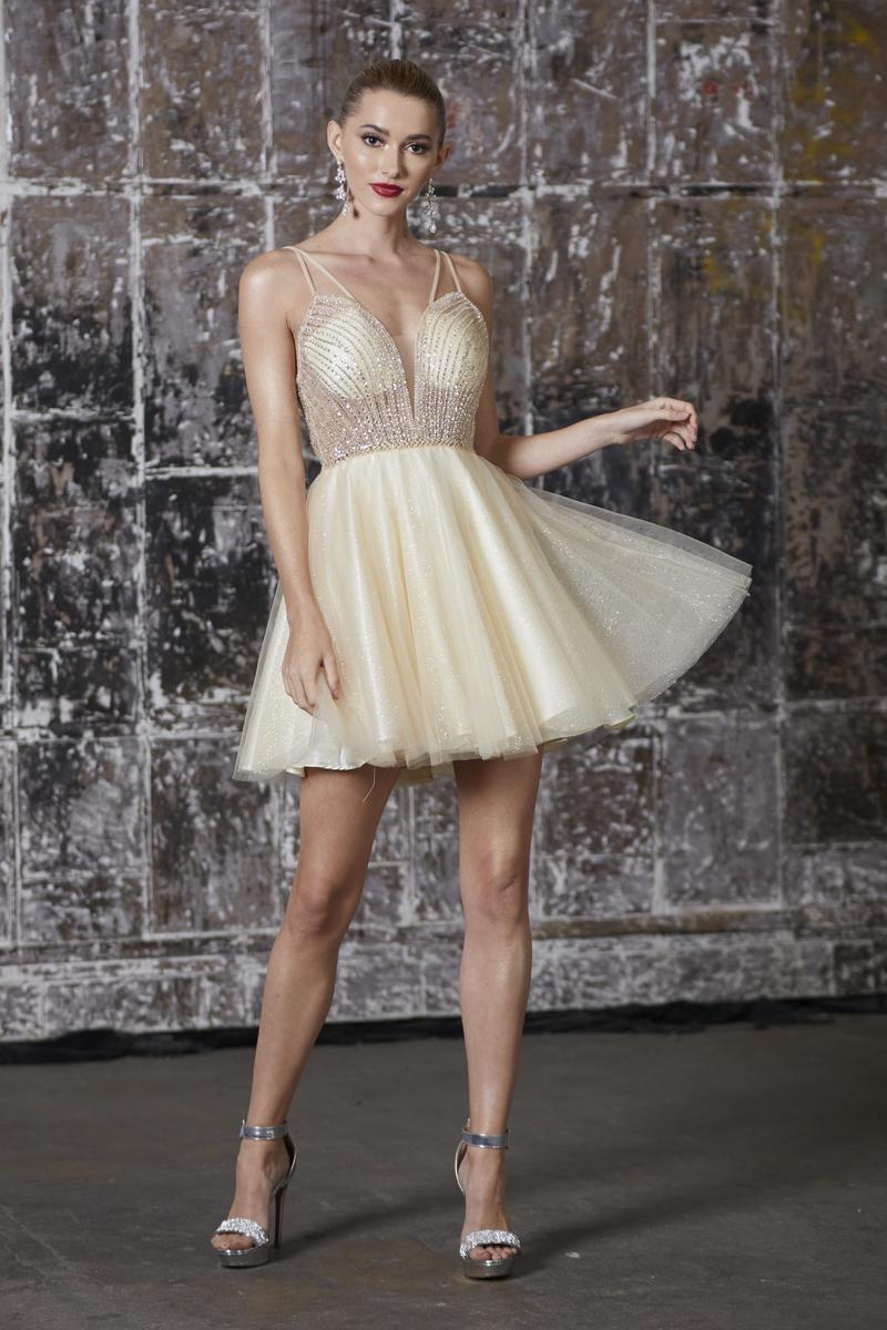 Cinderella Divine Dress CD0148