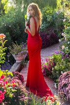 Terani Evenings Dress J3191 - Lipstick