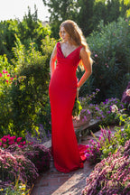 Terani Evenings Dress J3191